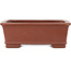 Maceta rectangular sin esmaltar para bonsái de Shibakatsu - 125 x 100 x 45 mm