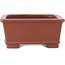 Maceta rectangular sin esmaltar para bonsái de Shibakatsu - 125 x 100 x 45 mm