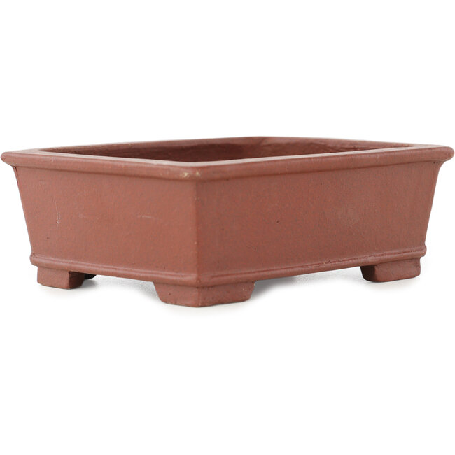 Vaso bonsai rettangolare non smaltato di Shibakatsu - 125 x 100 x 45 mm