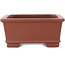 Maceta rectangular sin esmaltar para bonsái de Shibakatsu - 125 x 100 x 45 mm