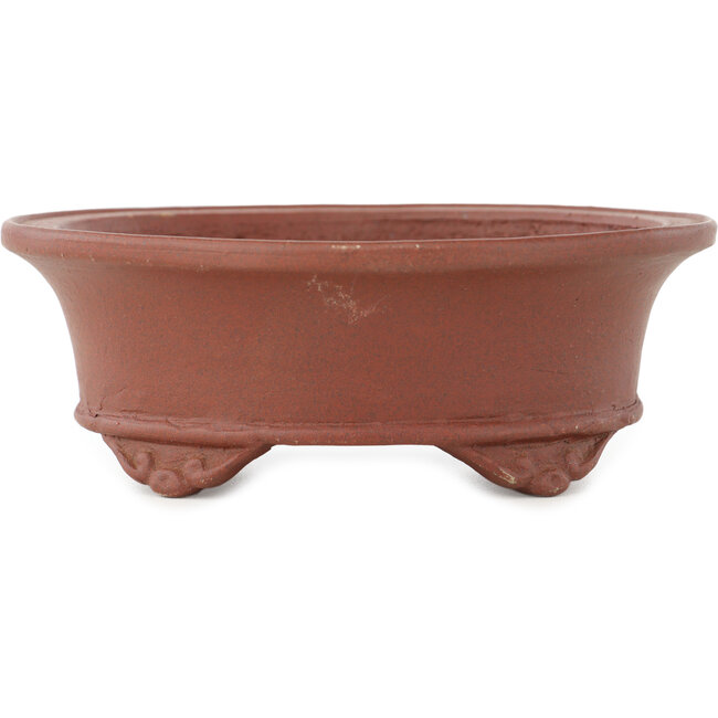 Vaso bonsai ovale non smaltato di Shibakatsu - 124 x 102 x 45 mm