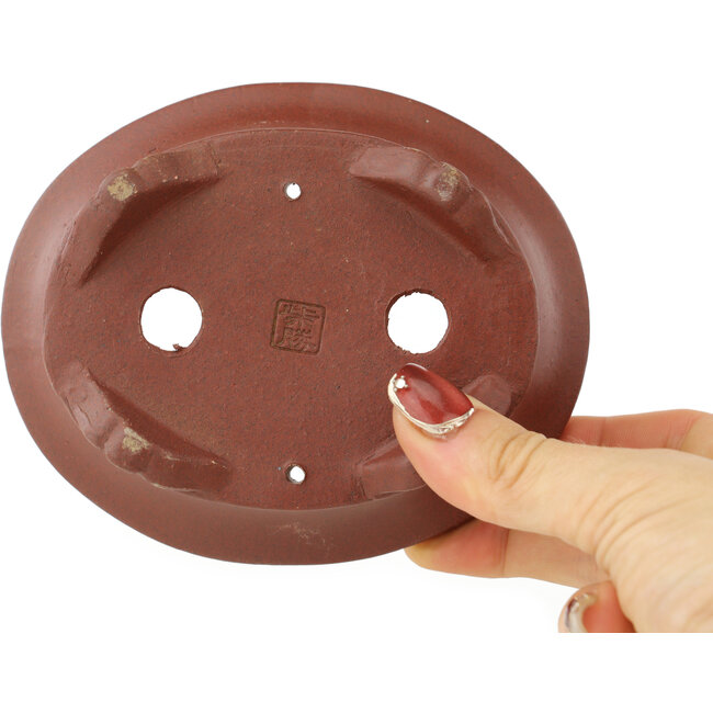 Pot à bonsaï ovale non émaillé de Shibakatsu - 124 x 102 x 45 mm