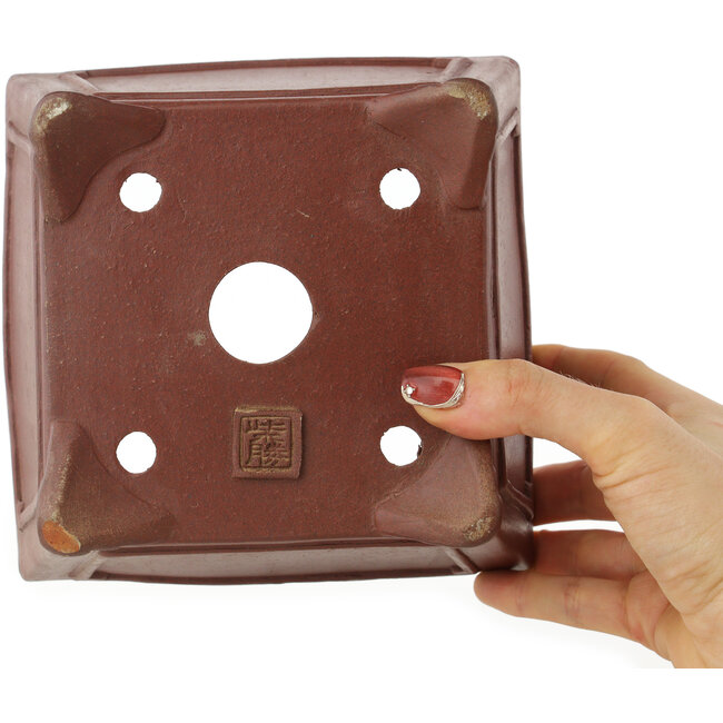 Pot à bonsaï carré non émaillé de Shibakatsu - 160 x 160 x 110 mm