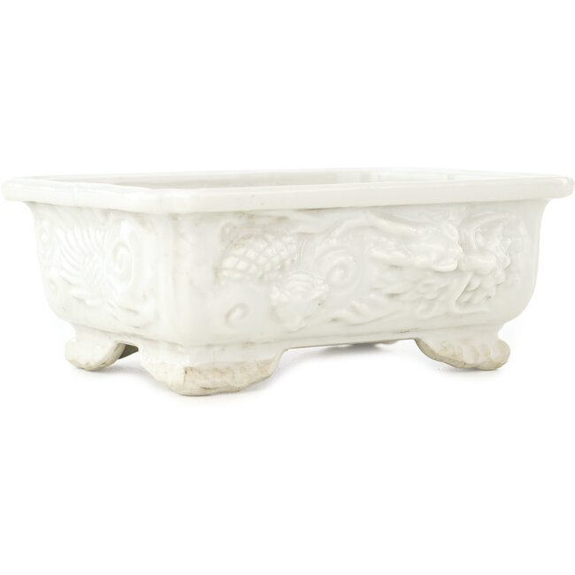 Maceta rectangular blanca para bonsái - 140 x 107 x 55 mm