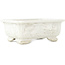 Pot à bonsaï rectangulaire blanc - 140 x 107 x 55 mm