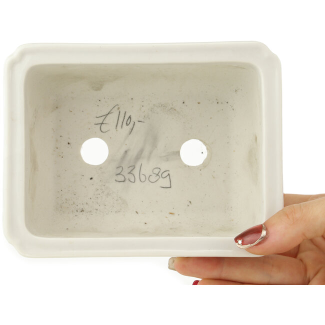 Maceta rectangular blanca para bonsái - 125 x 97 x 42 mm