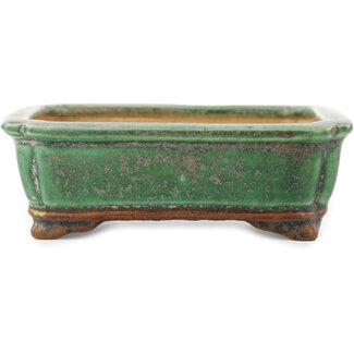 Heian Chikuzan Maceta rectangular verde para bonsái de 125 mm de Heian Kosen, Kioto, Japón