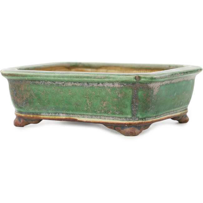 Rechthoekige groene bonsai pot van Heian Kosen - 125 x 115 x 43 mm