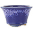 Runder blauer Bonsai-Topf von Eime Yozan - 115 x 115 x 70 mm
