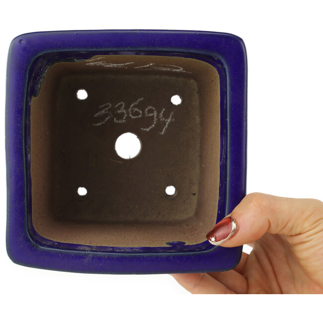Square blue bonsai pot by Shibakatsu - 125 x 125 x 90 mm