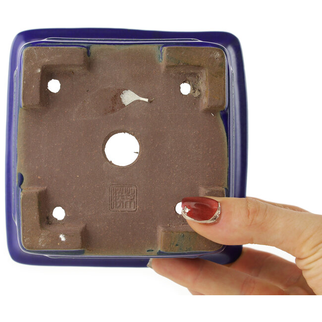 Pot à bonsaï carré bleu de Shibakatsu - 125 x 125 x 90 mm