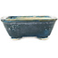 Rectangular teal bonsai pot by Okuruyama - 98 x 83 x 30 mm