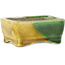 Pot à bonsaï rectangulaire vert et jaune par Terahata Satomi Mazan - 87 x 65 x 37 mm
