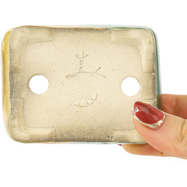 Pot à bonsaï rectangulaire vert et jaune par Terahata Satomi Mazan - 87 x 65 x 37 mm