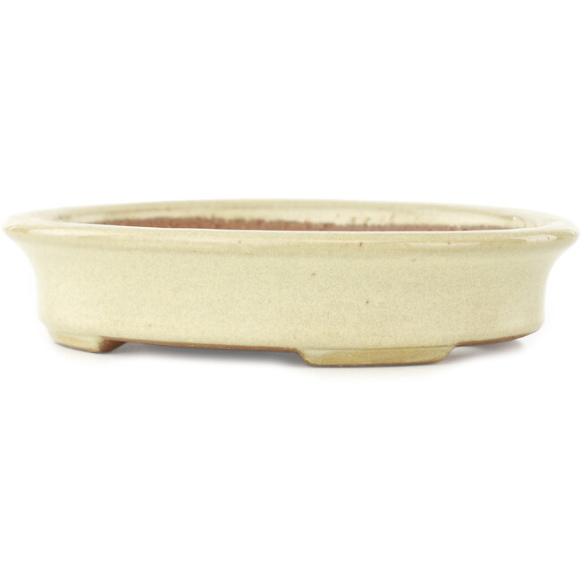 Ovaler cremefarbener Bonsai-Topf von Yamafusa - 160 x 135 x 35 mm