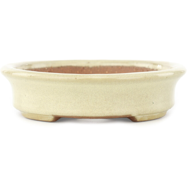 Ovale gebroken witte bonsai pot van Yamafusa - 160 x 135 x 35 mm