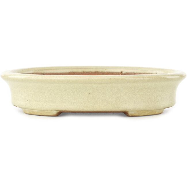 Oval off-white bonsai pot by Yamafusa - 160 x 135 x 35 mm