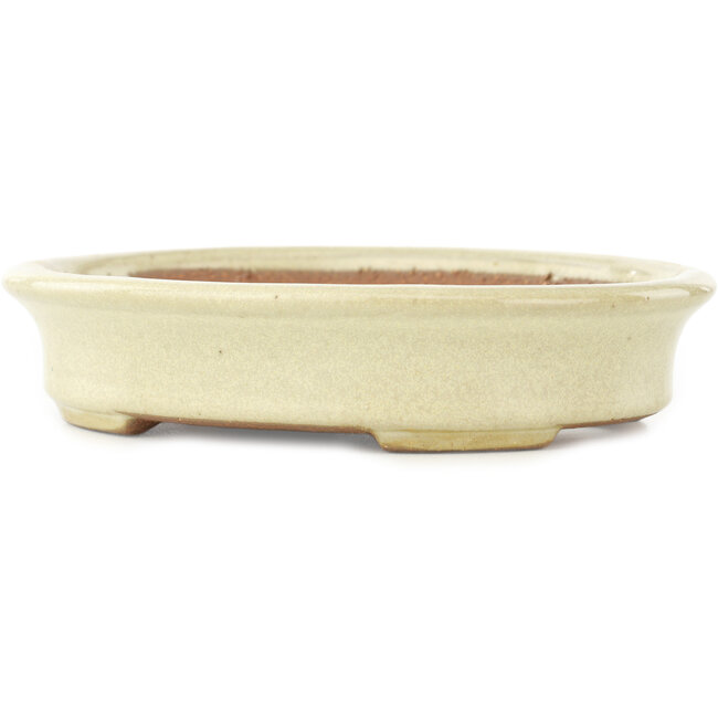 Pot à bonsaï ovale blanc cassé de Yamafusa - 160 x 135 x 35 mm
