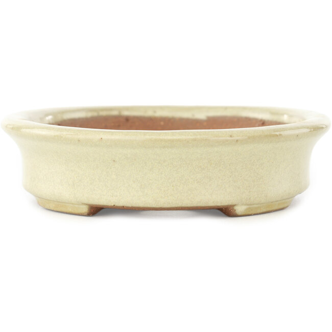 Pot à bonsaï ovale blanc cassé de Yamafusa - 160 x 135 x 35 mm