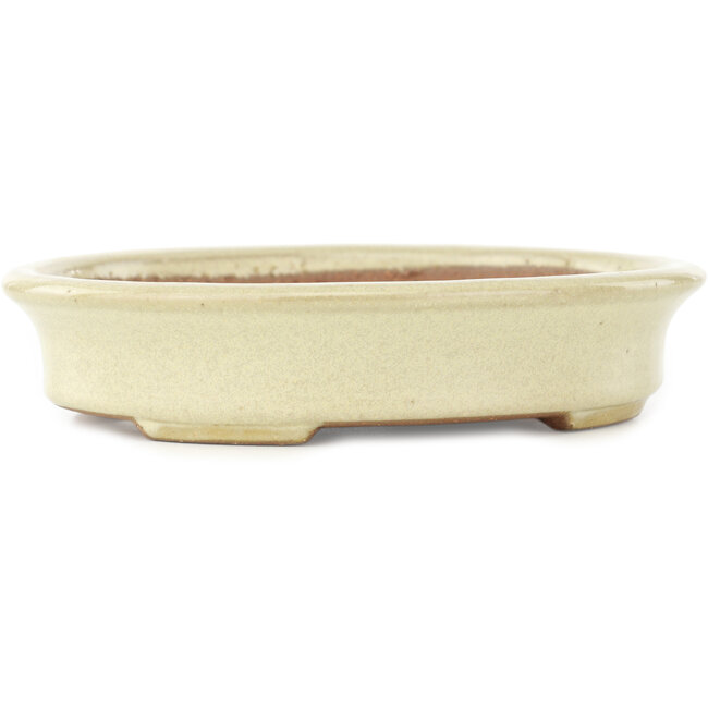 Oval off-white bonsai pot by Yamafusa - 160 x 135 x 35 mm