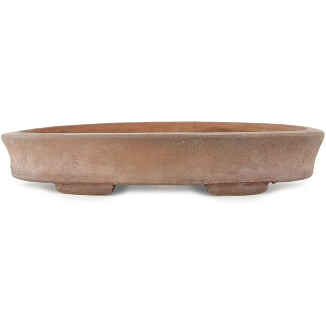 Oval unglazed bonsai pot - 222 x 157 x 40 mm
