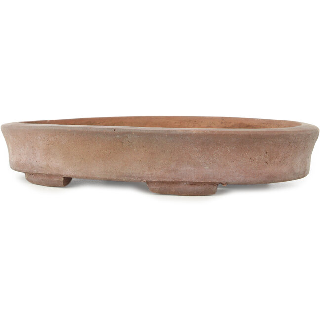 Pot à bonsaï ovale non émaillé - 222 x 157 x 40 mm