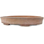 Oval unglazed bonsai pot - 222 x 157 x 40 mm