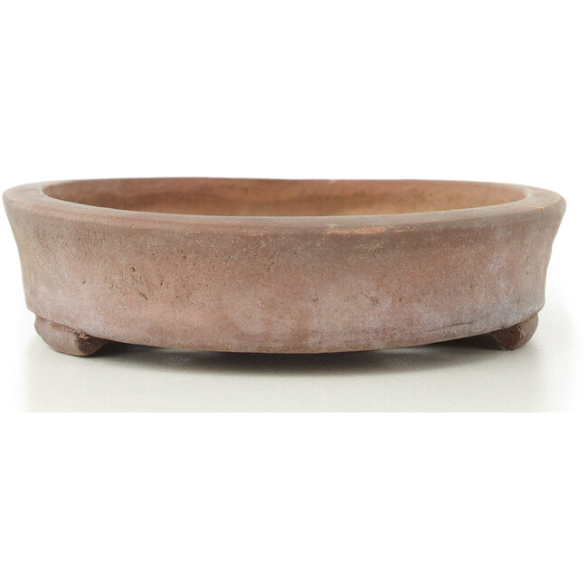 Pot à bonsaï ovale non émaillé - 222 x 157 x 40 mm