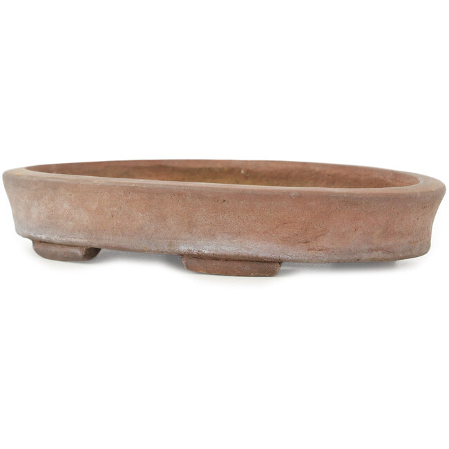 Maceta para bonsái ovalada sin esmaltar - 222 x 157 x 40 mm