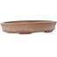 Oval unglazed bonsai pot - 222 x 157 x 40 mm