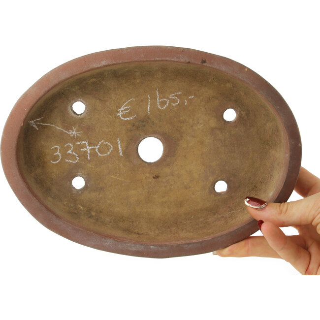 Vaso bonsai ovale non smaltato - 222 x 157 x 40 mm