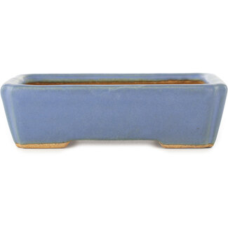  Hattori Tomoyuki Maceta rectangular azul para bonsái de 142 mm de Hattori, Tokoname, Japón