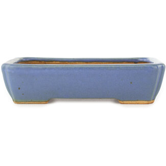  Hattori Tomoyuki 151 mm rechthoekige blauwe bonsaipot van Hattori, Tokoname, Japan