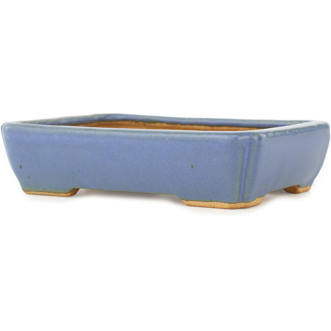 Pot à bonsaï rectangulaire bleu par Hattori - 151 x 115 x 40 mm