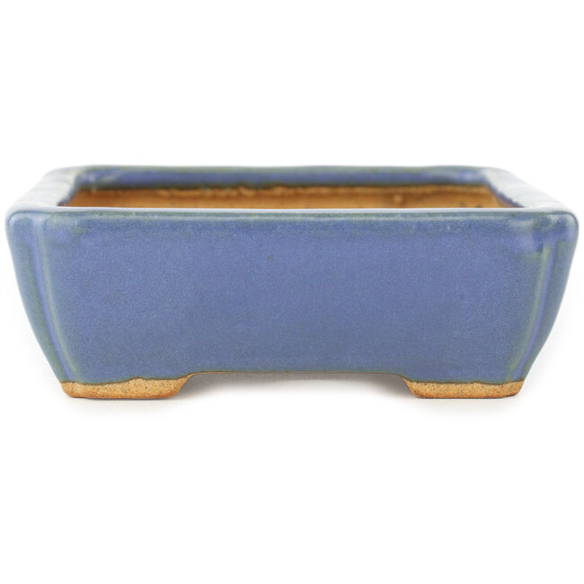 Pot à bonsaï rectangulaire bleu par Hattori - 151 x 115 x 40 mm