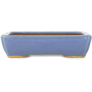  Hattori Tomoyuki Maceta rectangular azul para bonsái de 151 mm de Hattori, Tokoname, Japón
