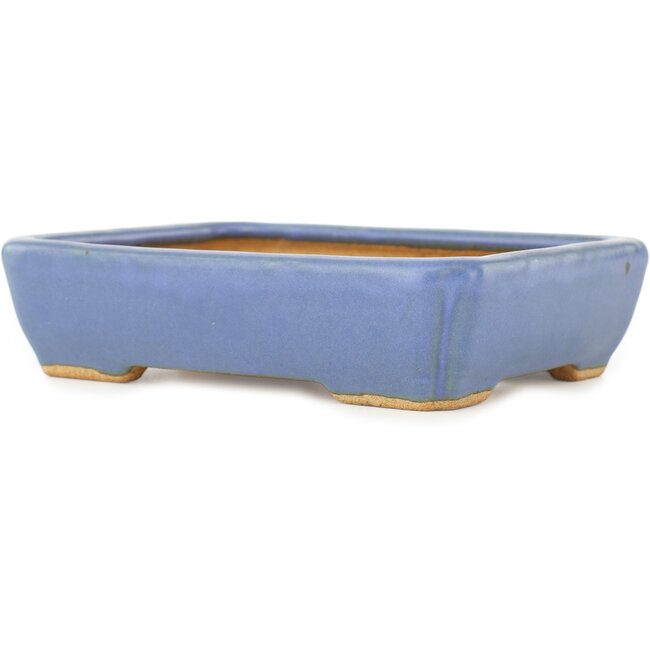 Pot à bonsaï rectangulaire bleu par Hattori - 151 x 115 x 40 mm