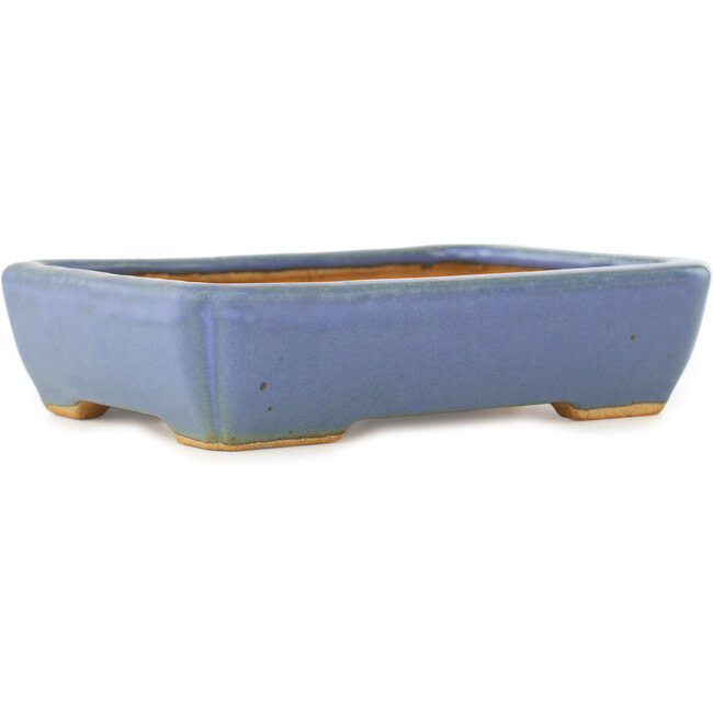 Pot à bonsaï rectangulaire bleu par Hattori - 151 x 115 x 40 mm
