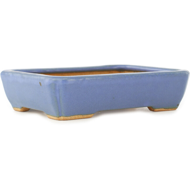Vaso bonsai rettangolare blu di Hattori - 151 x 115 x 40 mm
