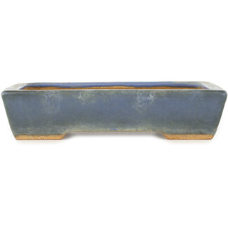  Hattori Tomoyuki Maceta rectangular azul para bonsái de 155 mm de Hattori, Tokoname, Japón