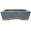 Rechthoekige blauwe bonsai pot van Hattori - 155 x 115 x 35 mm