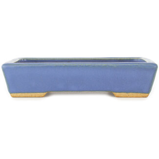  Hattori Tomoyuki Maceta rectangular azul para bonsái de 155 mm de Hattori, Tokoname, Japón
