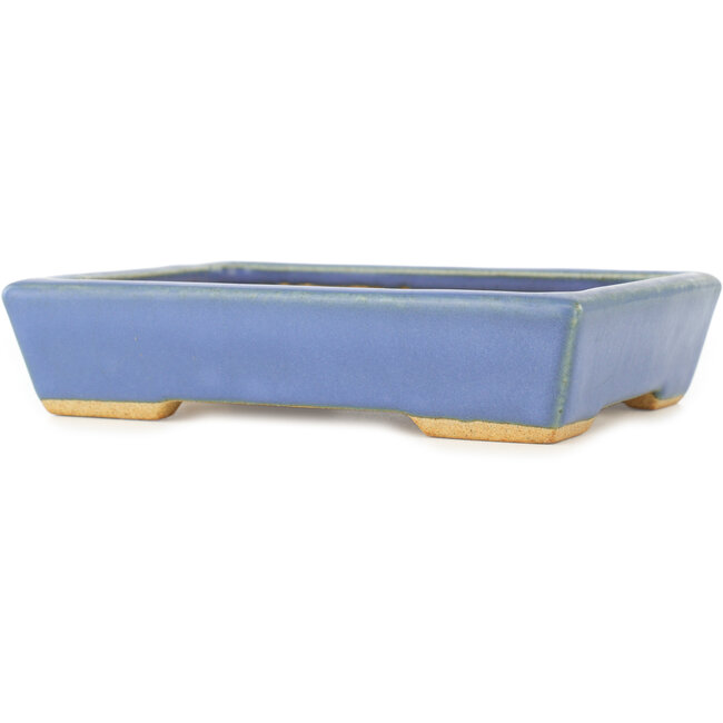 Vaso bonsai rettangolare blu di Hattori - 155 x 115 x 35 mm