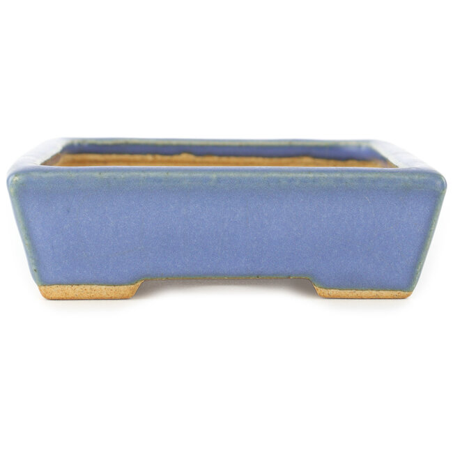 Pot à bonsaï rectangulaire bleu par Hattori - 155 x 115 x 35 mm