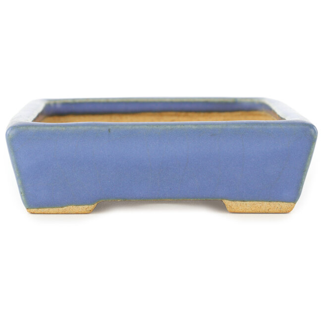 Pot à bonsaï rectangulaire bleu par Hattori - 155 x 115 x 35 mm