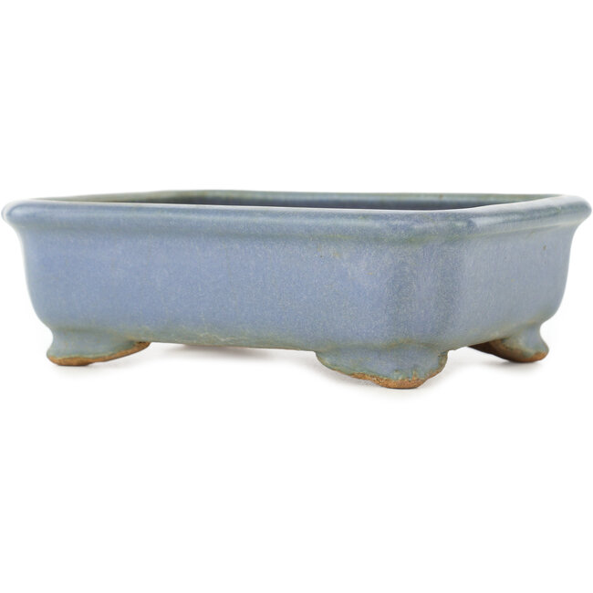 Maceta rectangular azul para bonsái de Hattori - 147 x 113 x 47 mm