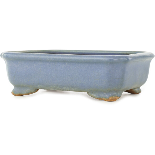 Vaso bonsai rettangolare blu di Hattori - 147 x 113 x 47 mm