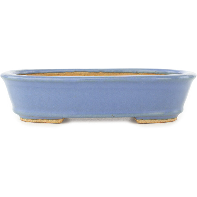 Ovaler blauer Bonsai-Topf von Hattori - 157 x 115 x 37 mm