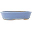 Ovaler blauer Bonsai-Topf von Hattori - 157 x 115 x 37 mm