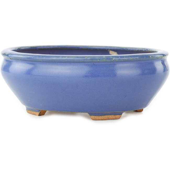 Maceta ovalada azul para bonsái de Hattori - 160 x 140 x 57 mm